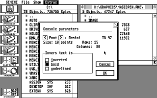 Gemini atari screenshot